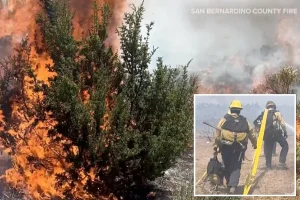 Uncommon 'ash devil' seen during Southern California wildfire