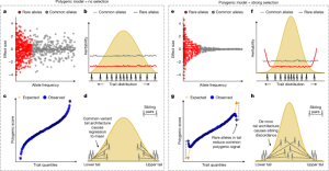 Unique genetic structure in the tails of intricate traits