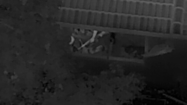 Video depicts deputies driving an armored vehicle over an armed suspect.