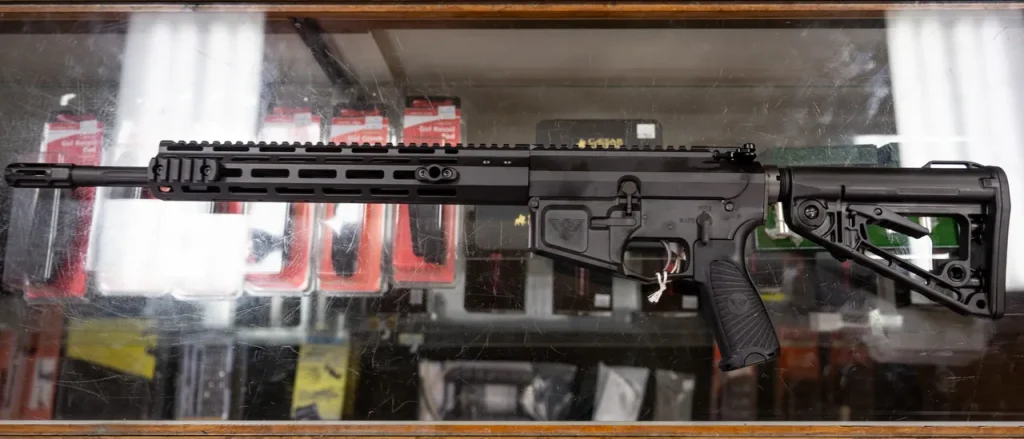 Virginia Democrats Aim to Expand Their State's Anti-Gun Laws Across the Country