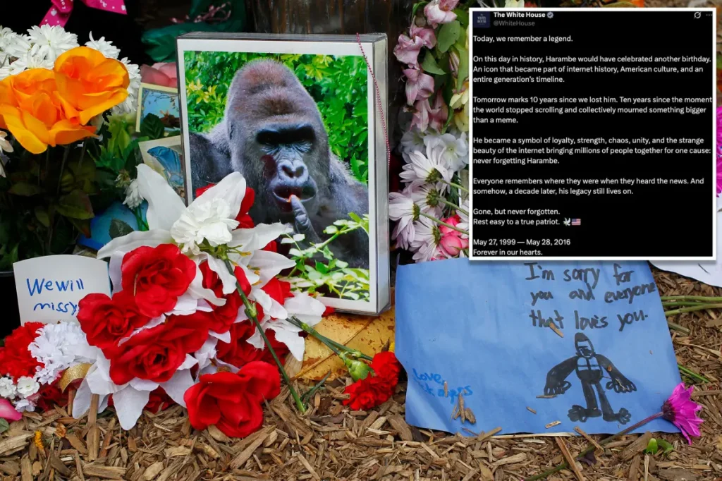 White House honors 'true patriot' Harambe on what would have been the gorilla's 27th birthday in an unusual message: 'Rest easy'
