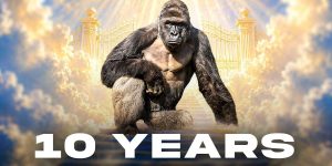 White House remembers Harambe, the beloved gorilla known for memes — and liberals react strongly
