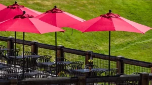 Woman dies after being hit by a restaurant umbrella in South Carolina