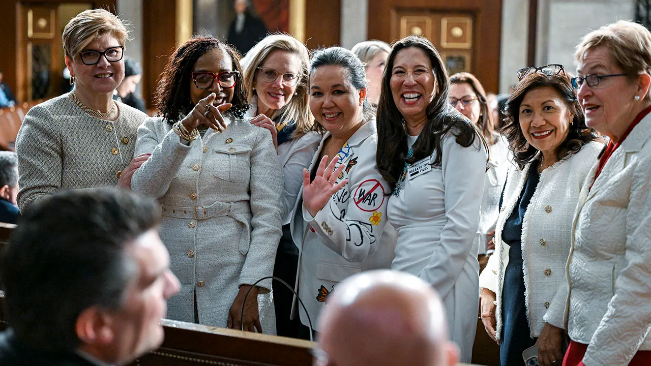 Women in the Democratic Party oppose the women's history museum bill