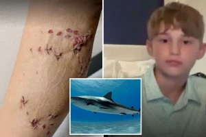 12-Year-Old Rescued by Older Brother Following Shark Incident During Family Trip to the Bahamas