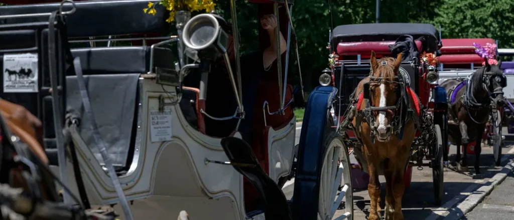 18-Year-Old Visitor to NYC Passes Away After Horse-Drawn Carriage Overturns