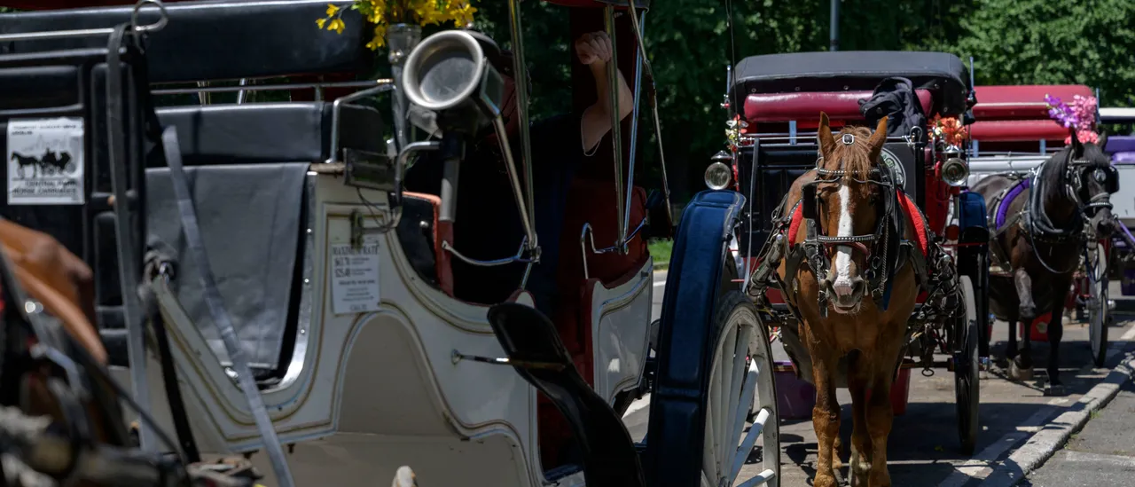 18-Year-Old Visitor to NYC Passes Away After Horse-Drawn Carriage Overturns