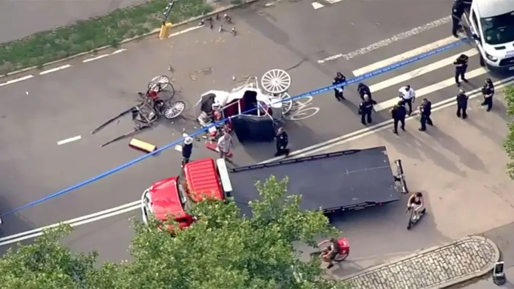 18-year-old tourist dies in horse-drawn carriage accident in Central Park, NYC