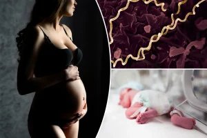 42 infants lose their lives in Australia amid a rise in severe STI cases in the US