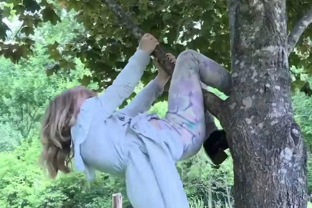 6-Year-Old Girl Attacked by Rabid Bat While Climbing Tree Near Her Home in Wisconsin