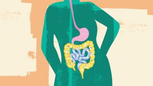 8 important facts about the gut microbiome and how to maintain its health