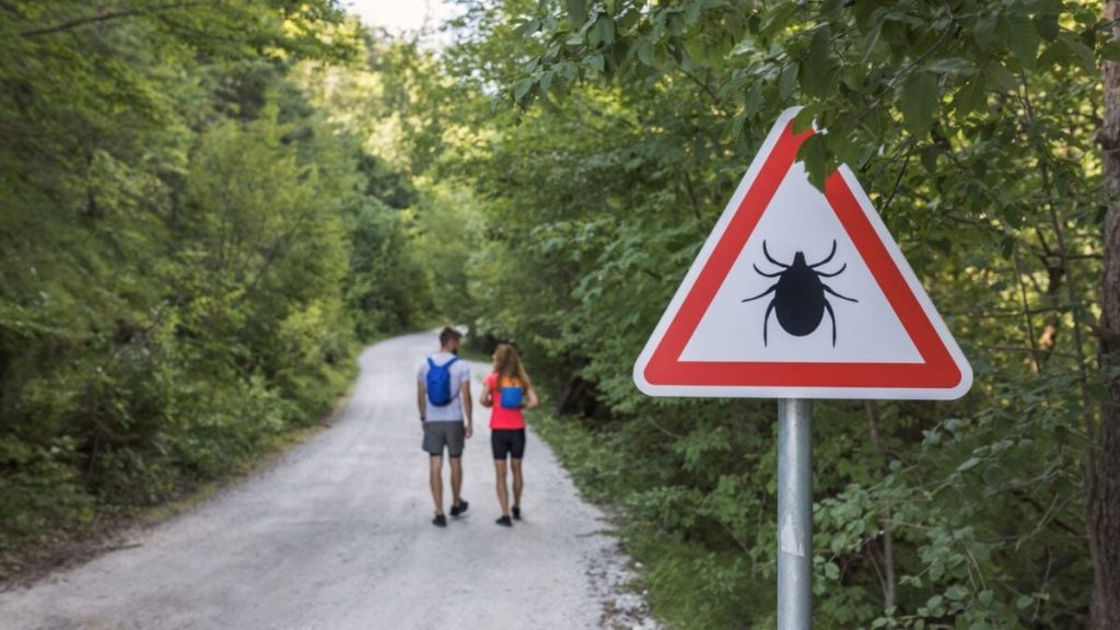 A New Visitor to New York: A Rare and Possibly More Severe Type of Lyme Disease