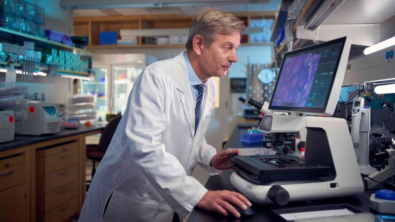 A healthier digestive system could be essential for cancer treatment.