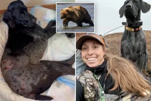 Alaska woman Lori Price defends herself with a weapon during a frightening bear attack that injures her dog: 'I thought I was dead'