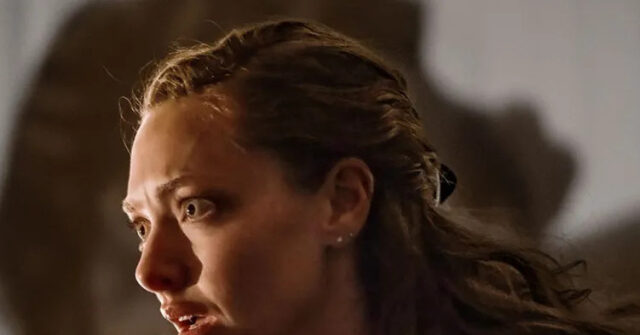 Amanda Seyfried portrays herself as a victim, stating she required a bodyguard following her confrontation with Charlie Kirk.