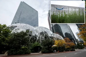 Amazon engineers criticize the company for spending billions on AI while laying off employees: 'Eager to develop'