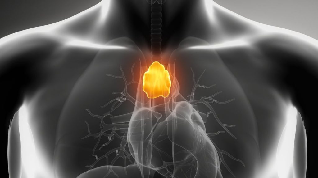 An Organ Considered 'Useless' and Commonly Removed by Doctors Might Actually Help Combat Cancer