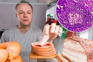 An additional daily serving of processed meat associated with increased cancer risk