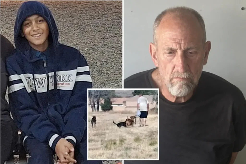 Arrest made after dogs pursued 12-year-old boy to his drowning in a California park