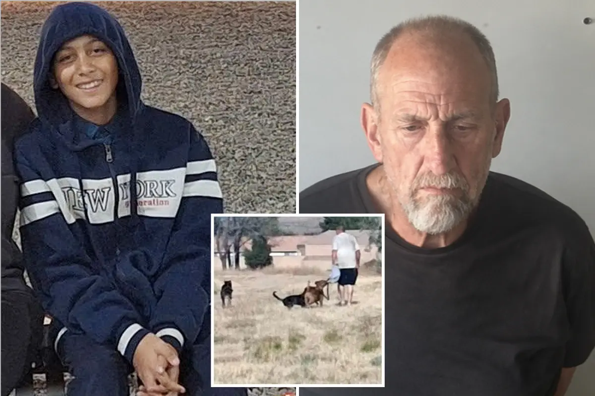 Arrest made after dogs pursued 12-year-old boy to his drowning in a California park