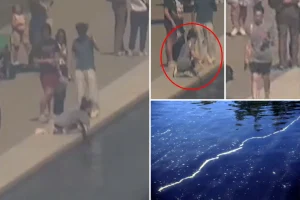 Authorities seek assistance in identifying individual involved in Reflecting Pool damage case