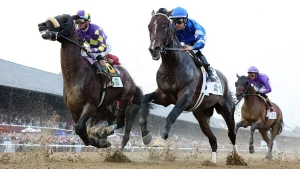 Belmont Stakes 2026: Odds, start time, and important race day details