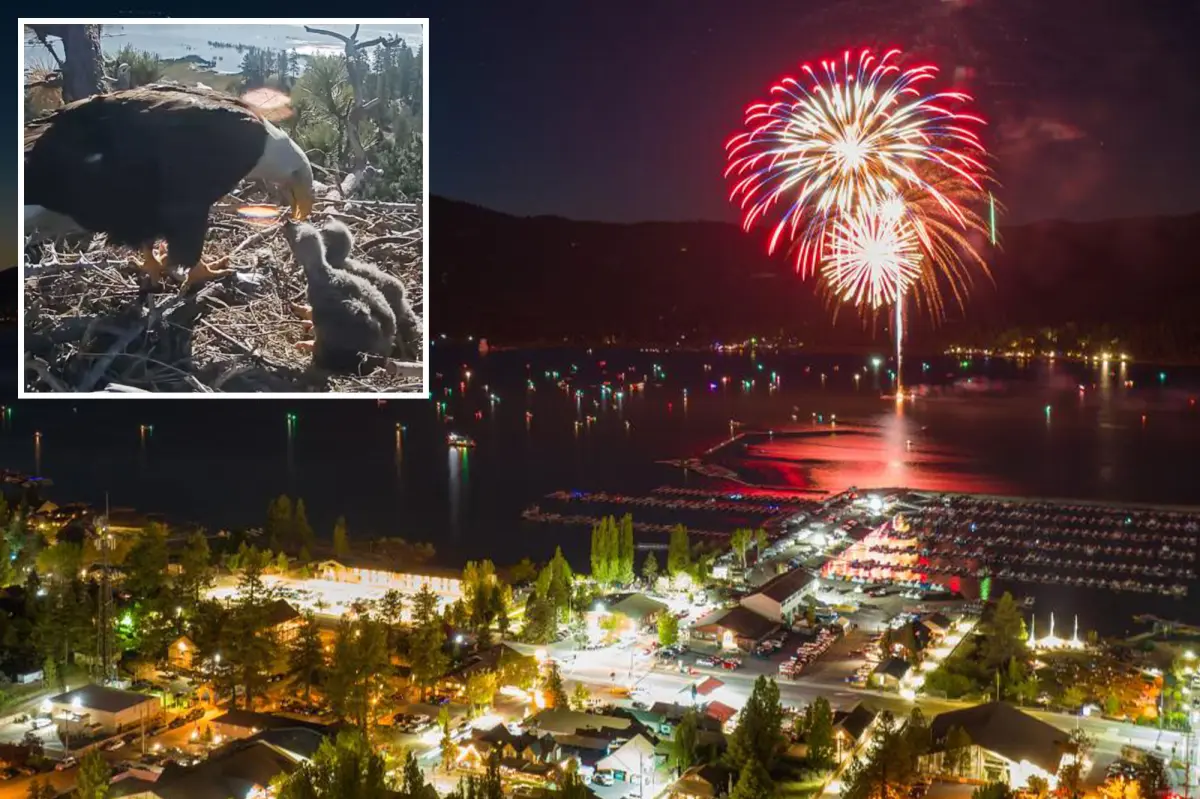 Big Bear's Fourth of July fireworks show at risk to safeguard bald eagles