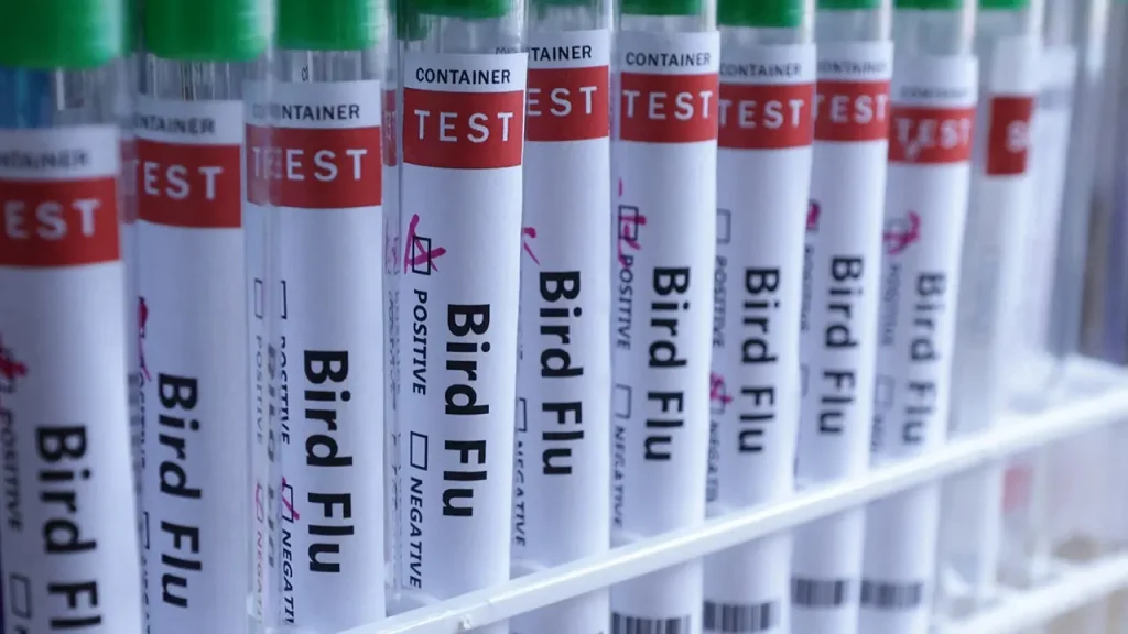 Bird flu spreads to all continents as Australia reports its first H5N1 case.