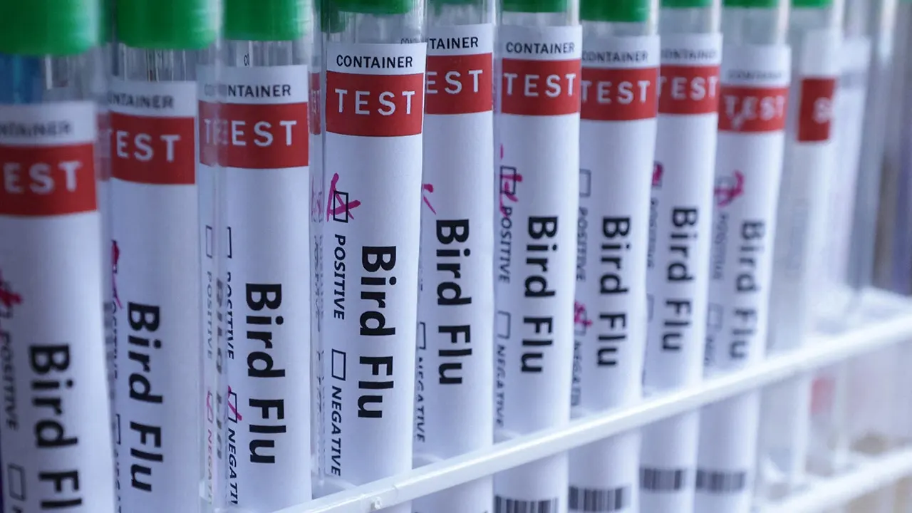 Bird flu spreads to all continents as Australia reports its first H5N1 case.