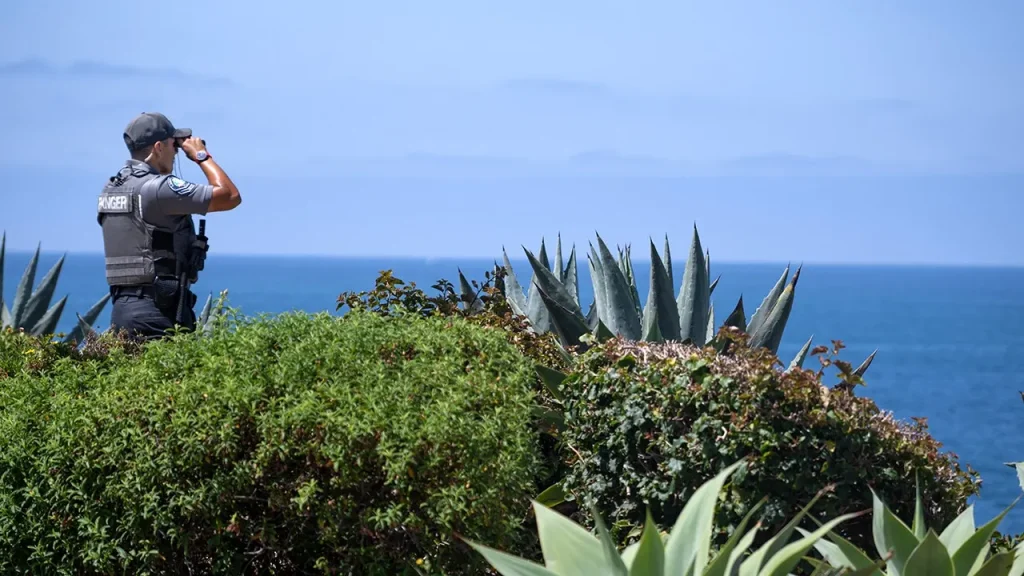 Body of 5-year-old from California discovered after being carried away by the ocean