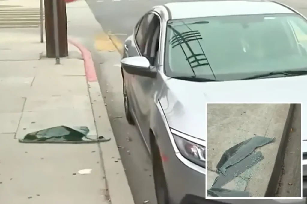Bold criminal pulls off remarkable robbery on an entire street overnight