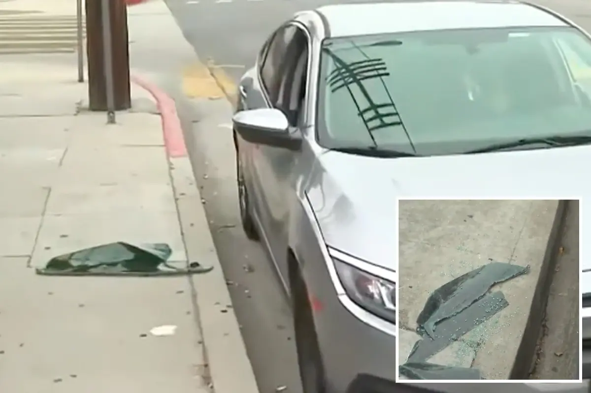 Bold criminal pulls off remarkable robbery on an entire street overnight