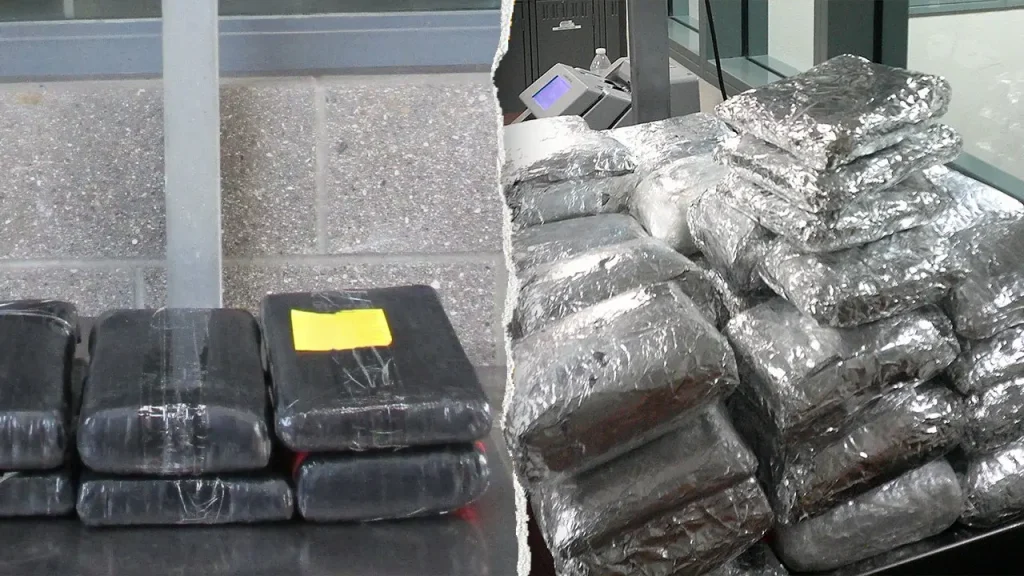 Border authorities confiscate more than $300,000 worth of fentanyl and cocaine at two California border crossings.