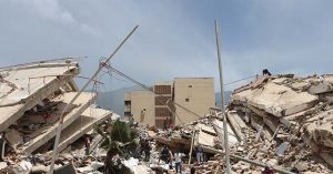Brave Dog 'Tsunami' Saves 12 Individuals Following Earthquakes in Venezuela