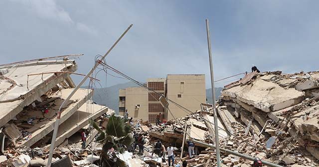 Brave Dog 'Tsunami' Saves 12 Individuals Following Earthquakes in Venezuela