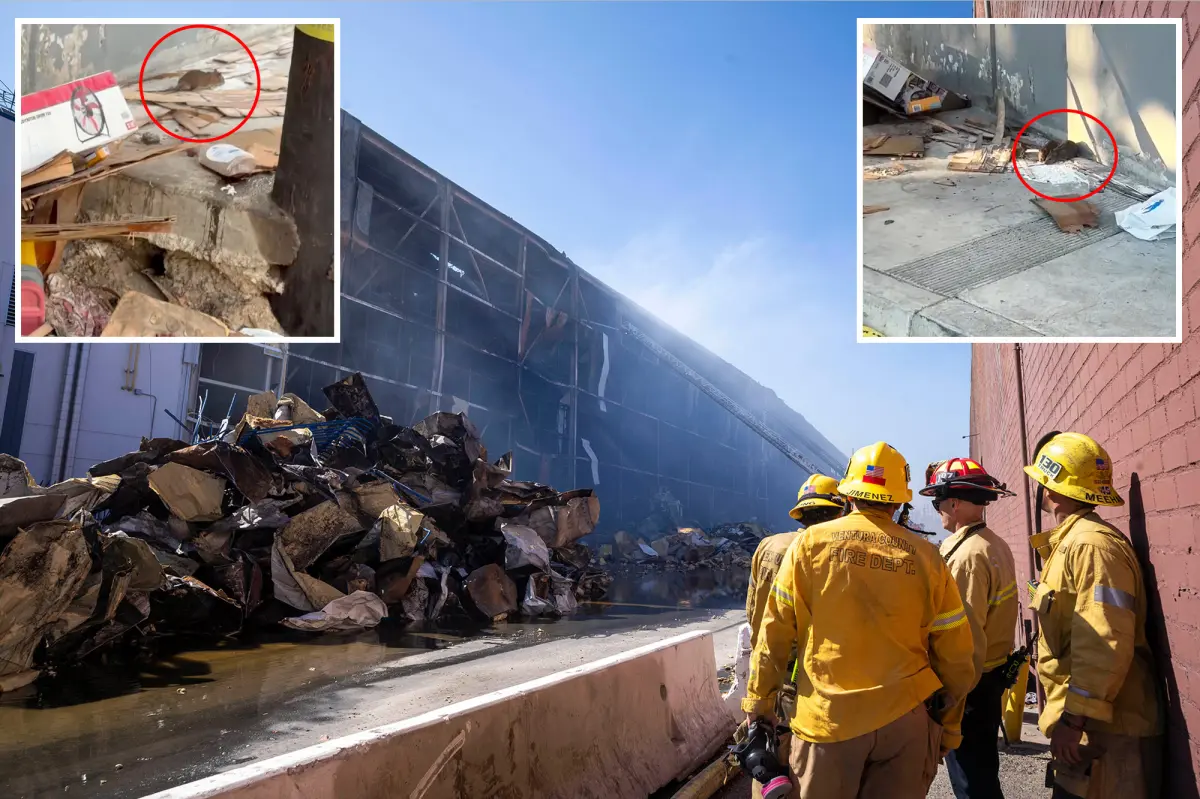 Burned Boyle Heights warehouse causes large rodent outbreak in LA