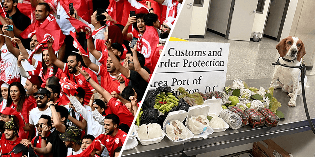 CBP dogs on high alert as World Cup travelers from developing countries bring in spoiled souvenirs