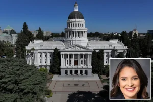 California legislation would impose high fees and bring legal action for record requests.