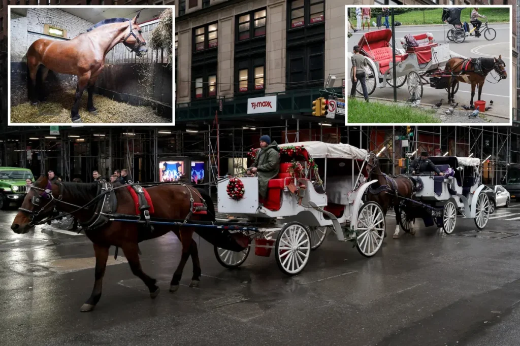 Carriage horses in Central Park go back to work amid shocking report revealing scarring and cramped stables.