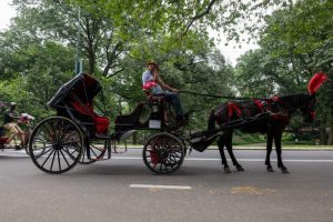 Carriage rides in Central Park halted after teen passenger's death