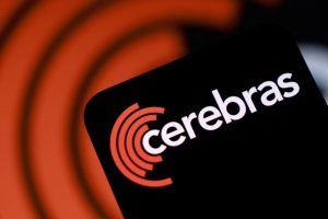 Cerebras stock falls on earnings release, with profits lower than AI chip competitors