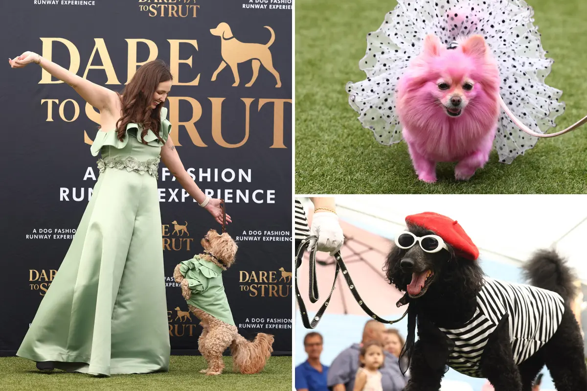Charming dog fashion event 'Dare to Strut' captivates Los Angeles