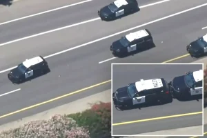 Chase involving a stolen police car from Sacramento concludes with an arrest in Lodi