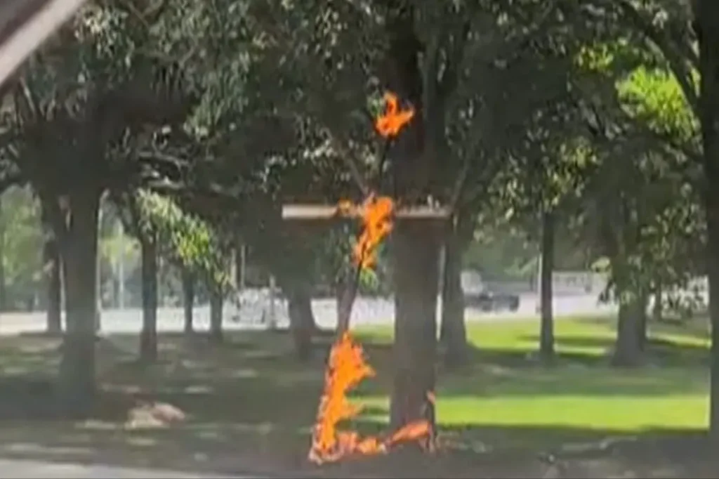 Chicago police look into the discovery of a burning cross in Grant Park