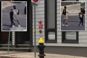 Children held at gunpoint during lemonade stand in Boston by young offenders
