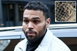 Chris Brown's $90M dog attack case results in mistrial due to juror misconduct