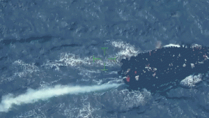 Coast Guard stops overcrowded migrant boat close to Turks and Caicos