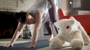 Colin Angle, the creator of Roomba, introduces a home robot that is sensitive and pet-like.