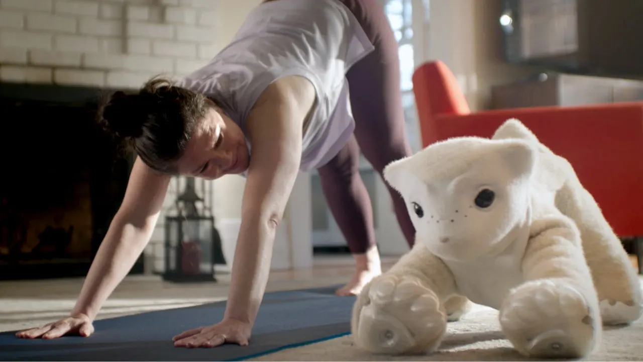 Colin Angle, the creator of Roomba, introduces a home robot that is sensitive and pet-like.
