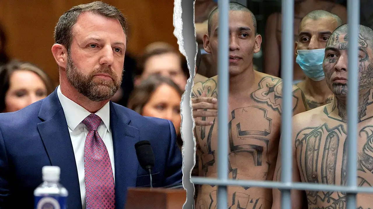 Criminals took advantage of youth immigration program, DHS discloses